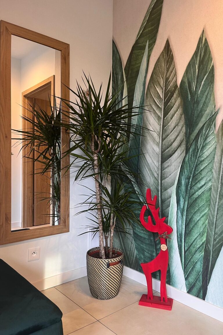 Rośliny i naturalne dekoracje we wnętrzu – Seniorlandia dom opieki przyjazne i zielone otoczenie